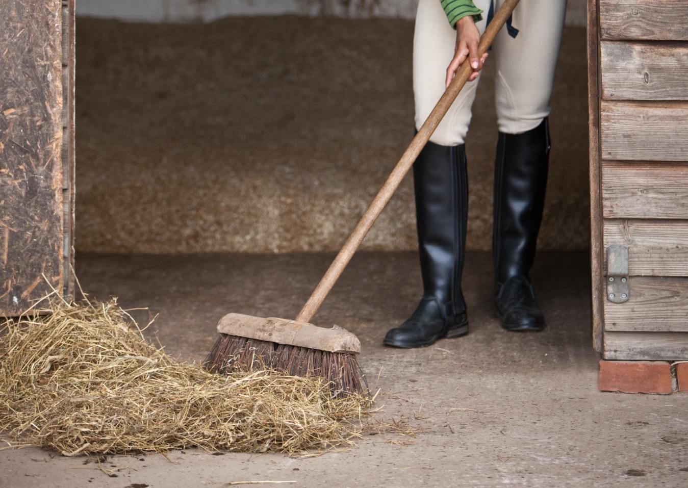 Stable Cleaning Service